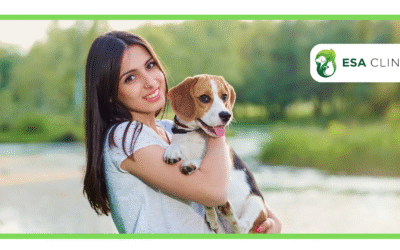 Can You Have More Than One Emotional Support Animal?