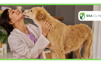 Emotional Support Animal: What You Need to Know in 2025