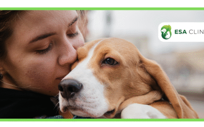 Emotional Support Animal Sample Letter with ESAClinic