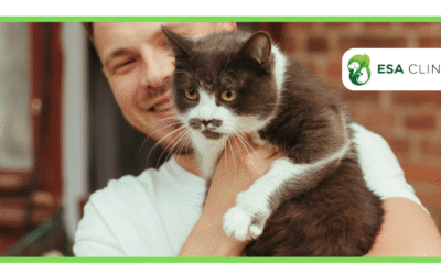 Who Can Write an ESA Letter for You Legally?