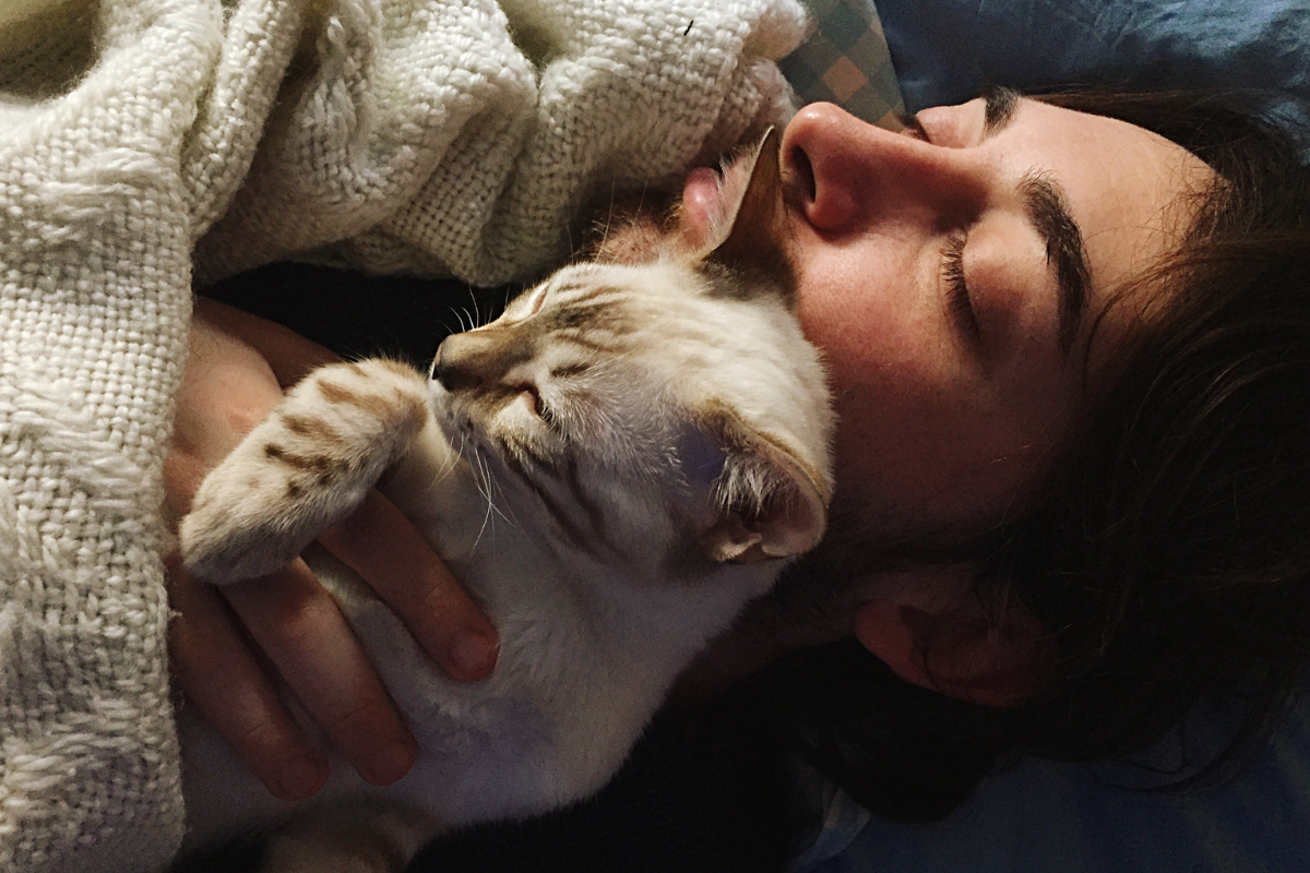 emotional support animal cat letter emotional support animal cat letter