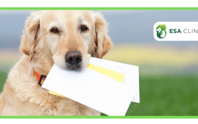 What Does a Valid ESA Letter Look Like?