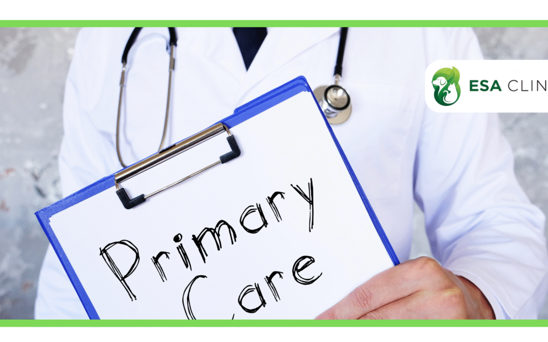 Can My Primary Care Provider Write an ESA Letter?