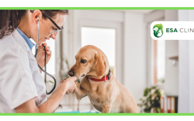 Can a Nurse Practitioner Write an ESA Letter?