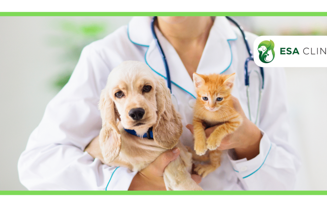 How Do I Get an ESA Letter for Free?