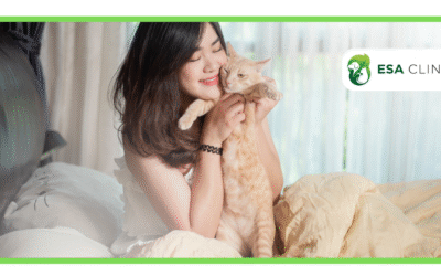 How Do I Get an ESA Letter for My Cat?