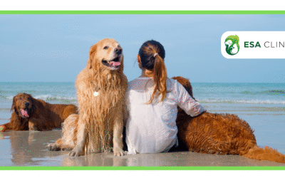 How Much Does an ESA Letter Cost?