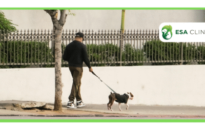 California ESA Letter Requirements Explained 2026