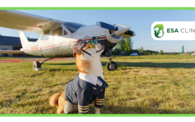 Can ESA Dogs Go Anywhere? Rules Explained