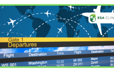 Do ESA Dogs Fly Free? 2026 Airline Rules