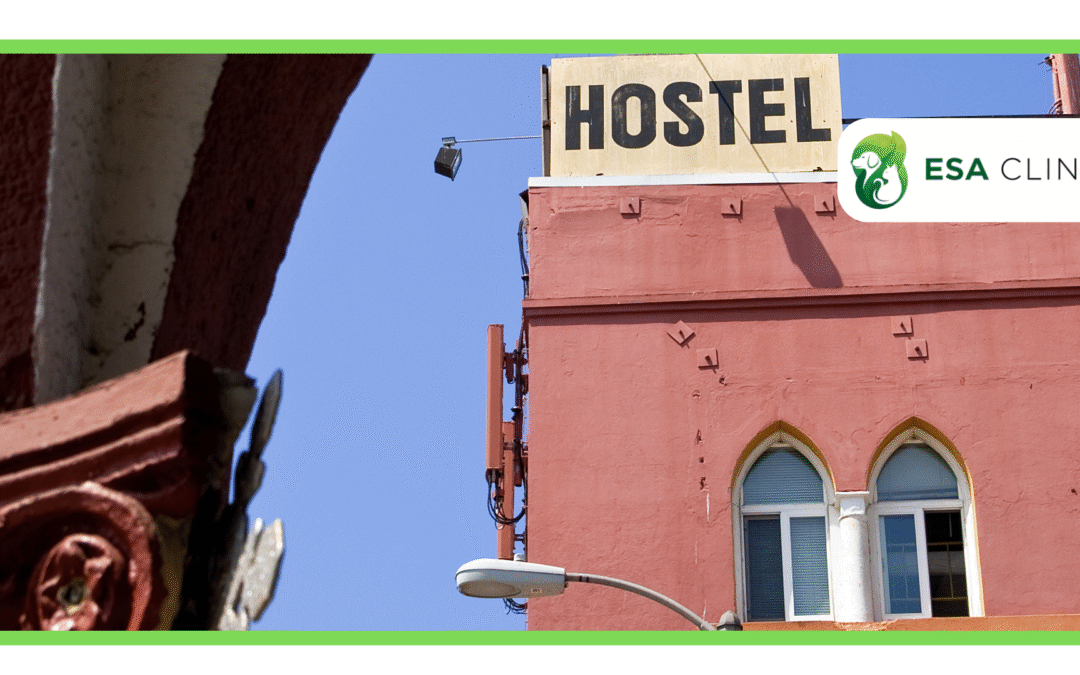 ESA Animals in Hotels: Rights & Rules​