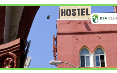 ESA Animals in Hotels: Rights & Rules