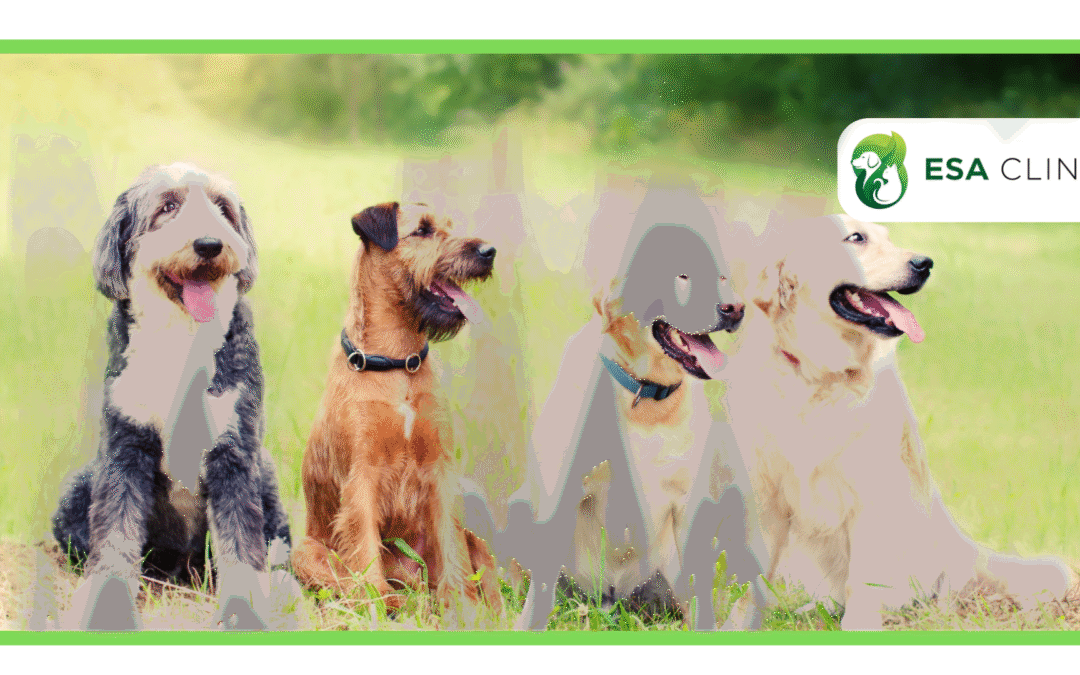 Emotional Support Animal Laws in South Dakota 2026