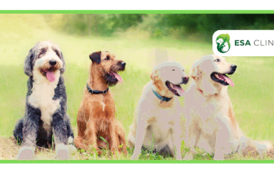 Emotional Support Animal Laws in South Dakota 2026