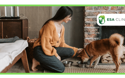 Where to Get an Emotional Support Animal (ESA) Letter?