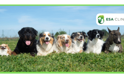 Emotional Support Animal (ESA) Letter Sample