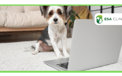 Are Online ESA Letters Legitimate?