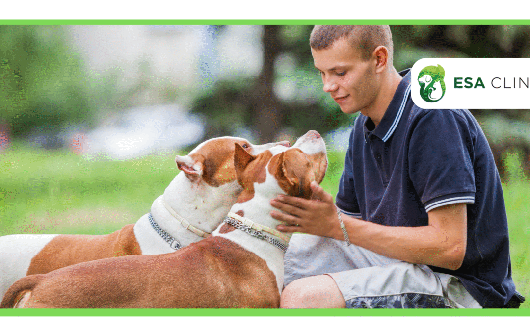 ESA Clinic vs. Certapet: Which is the Best ESA Letter Provider?