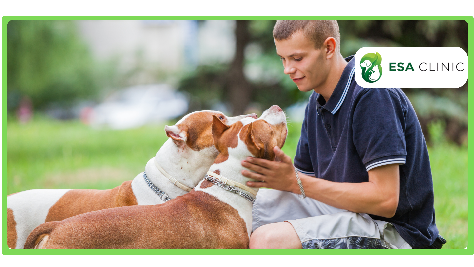 Fast ESA Letter vs. Certapet Which is the Best ESA Letter Provider Fast ESA Letter vs. Certapet Which is the Best ESA Letter Provider