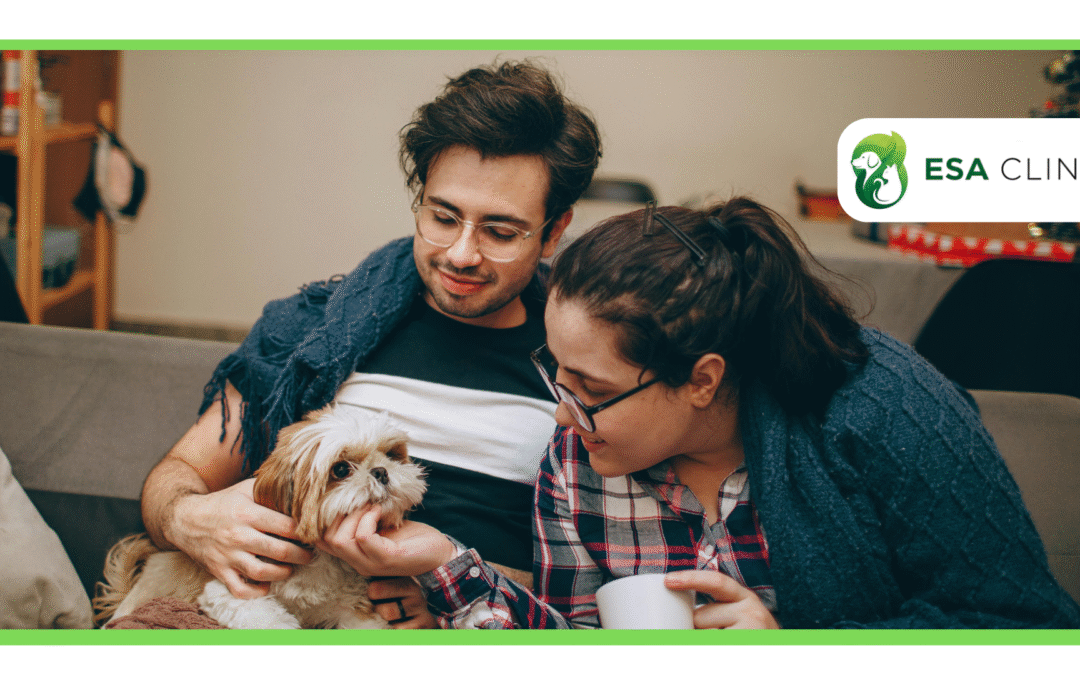 ESA Clinic vs. My ESA Doctor: Which ESA Service is Right for You?