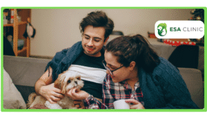 Fast ESA Letter vs. My ESA Doctor Which ESA Service is Right for You