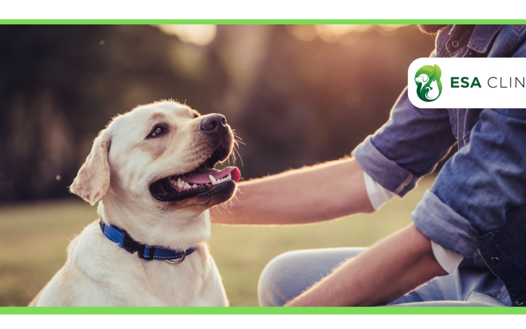 ESA Clinic vs. Pettable: Which ESA Service is Right for You?