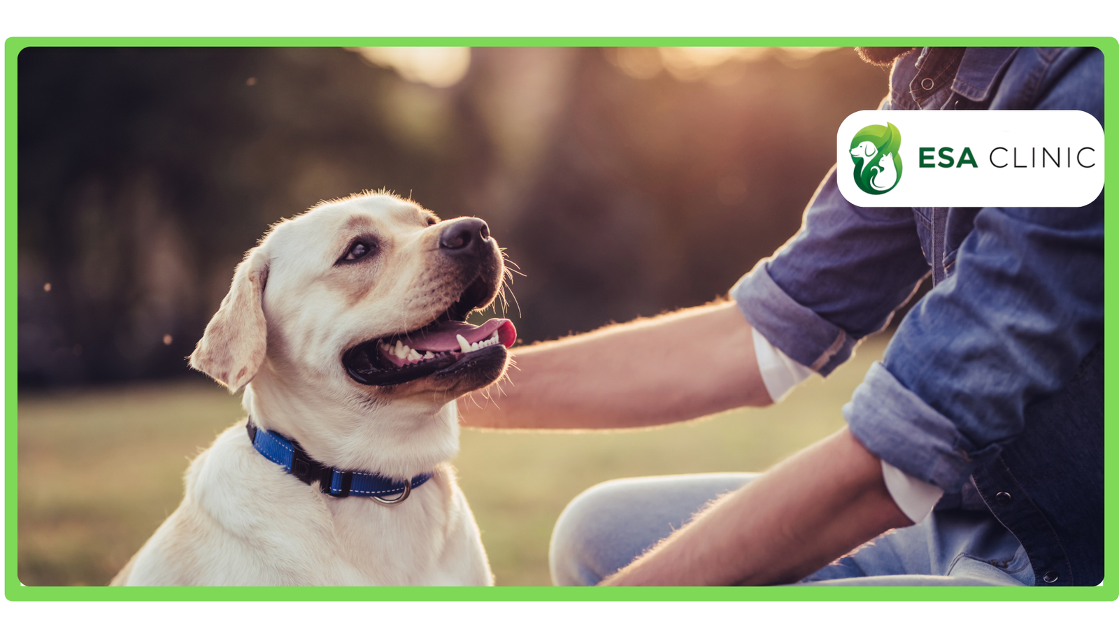 Fast ESA Letter vs. Pettable Which ESA Service is Right for You Fast ESA Letter vs. Pettable Which ESA Service is Right for You