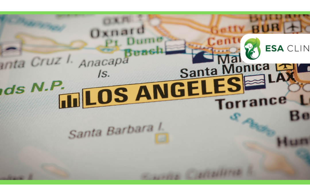 How to Get an ESA Letter in Los Angeles, California