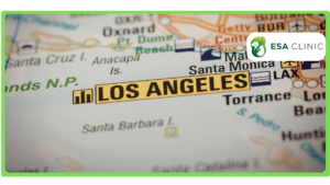 How to Get an ESA Letter in Los Angeles, California