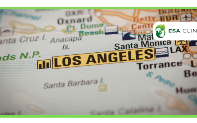 How to Get an ESA Letter in Los Angeles, California