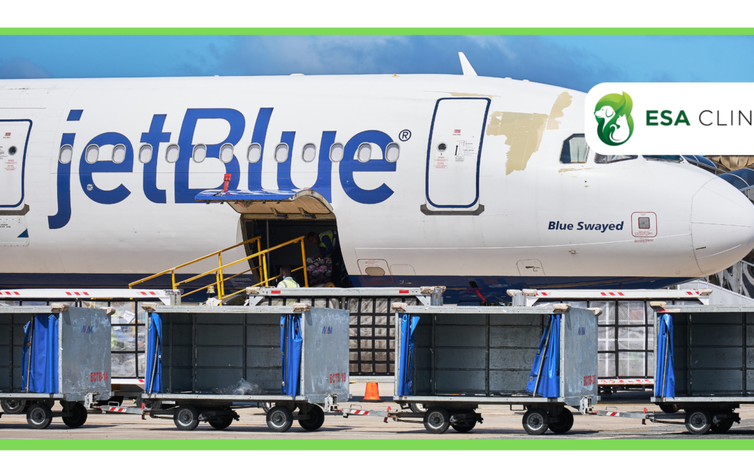 JetBlue Airline PSD and ESAs Policy Guide