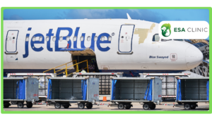 JetBlue Airline PSD and ESAs Policy Guide