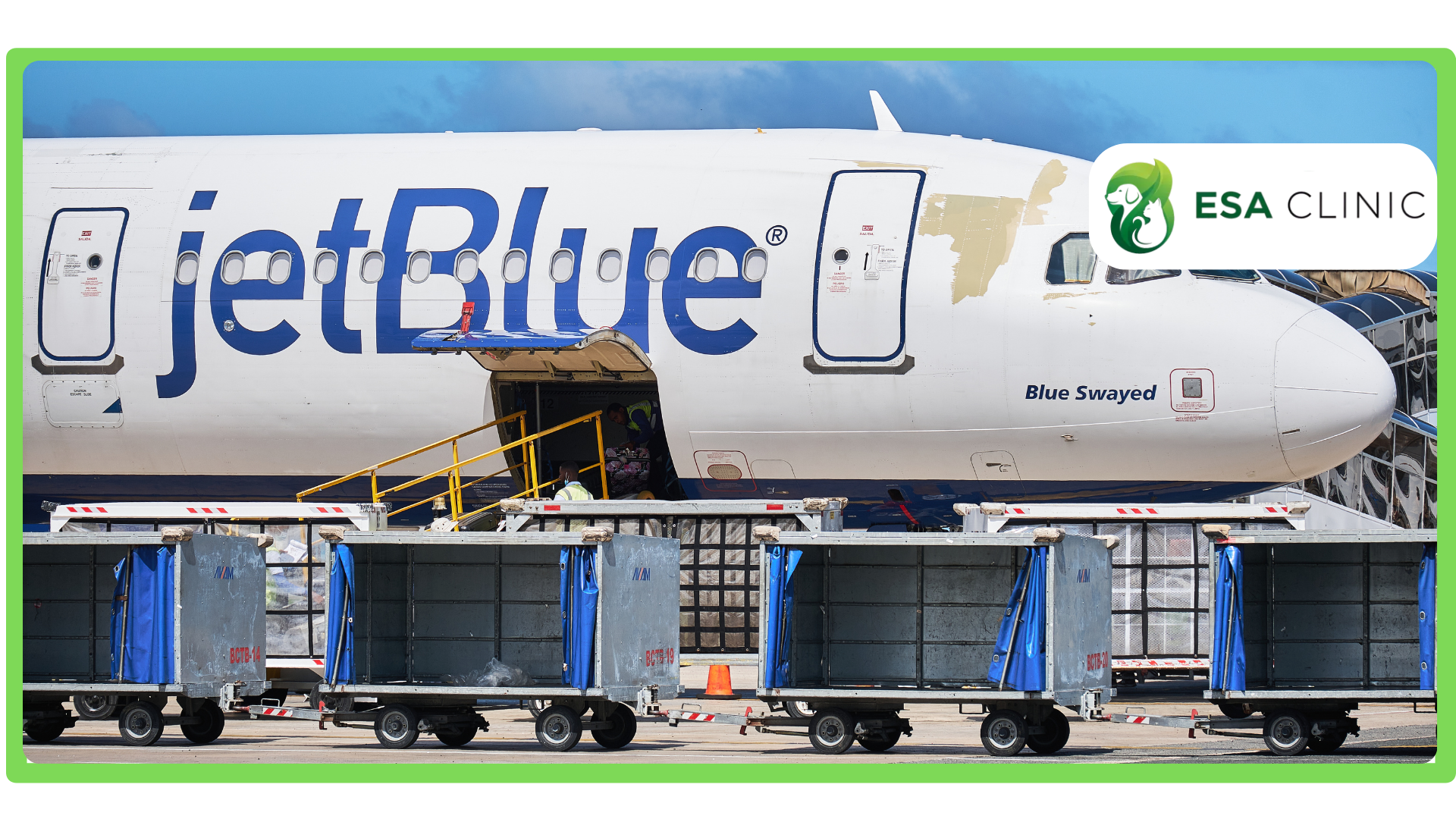 JetBlue Airline PSD and ESAs Policy Guide JetBlue Airline PSD and ESAs Policy Guide