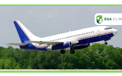 United Airlines ESA and Service Dog Policy Guide