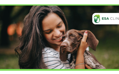 Can an Employer Deny an Emotional Support Animal