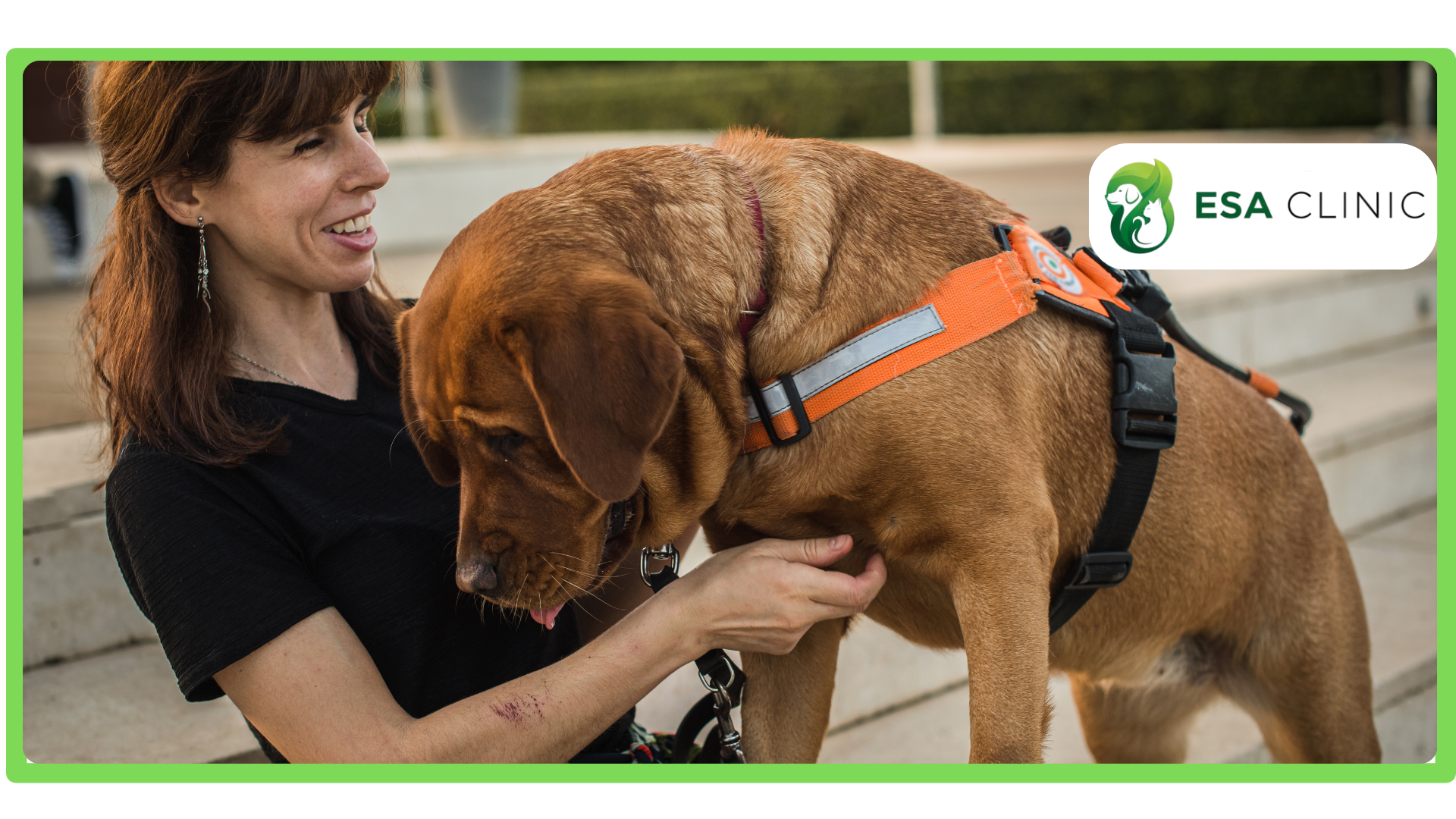 How to Get a Service Dog in California How to Get a Service Dog in California