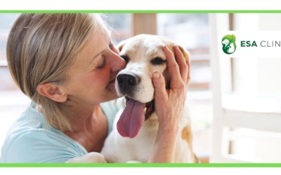 Who Can Write an Emotional Support Animal Letter