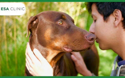 Dog-Friendly Stores: Where You Can (and Can’t) Shop With Your Dog