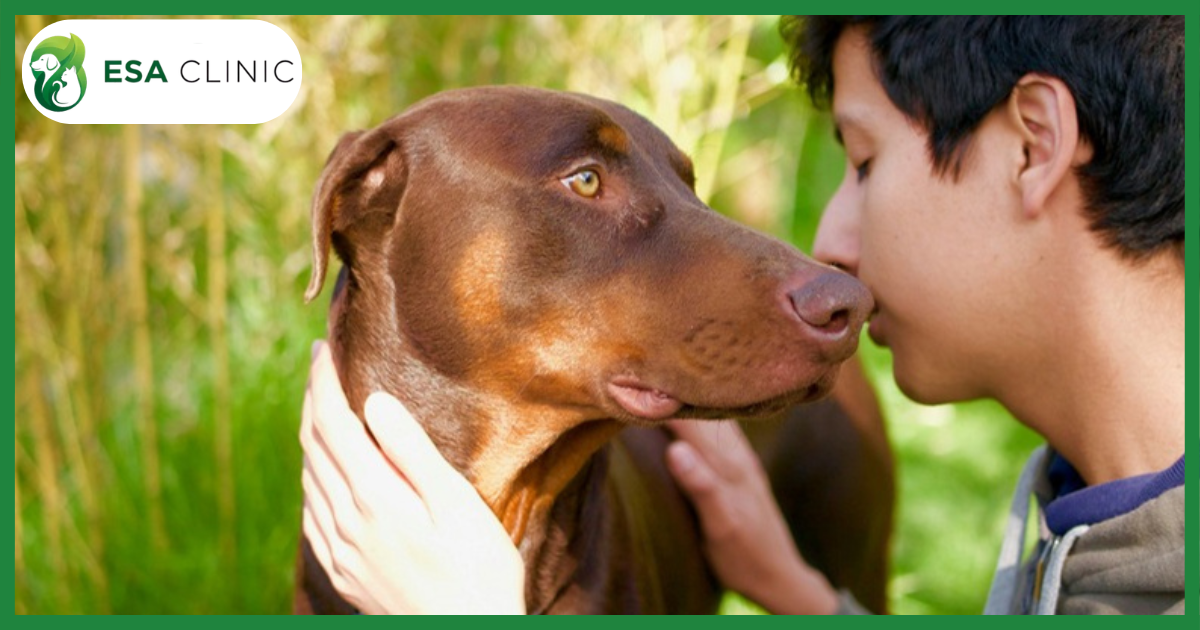 Dog-Friendly Stores: Where You Can and Can’t Shop With Dog Dog-Friendly Stores: Where You Can and Can't Shop With Dog