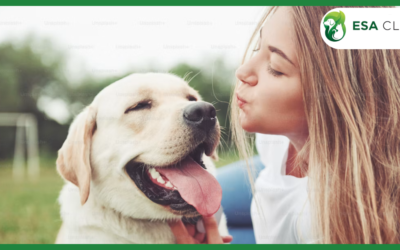 ADA Service Dog Registration: What the Law Actually Says