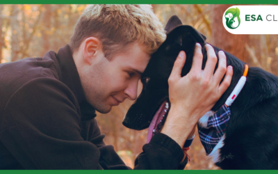 Colorado Service Dog Laws: What Handlers Need to Know