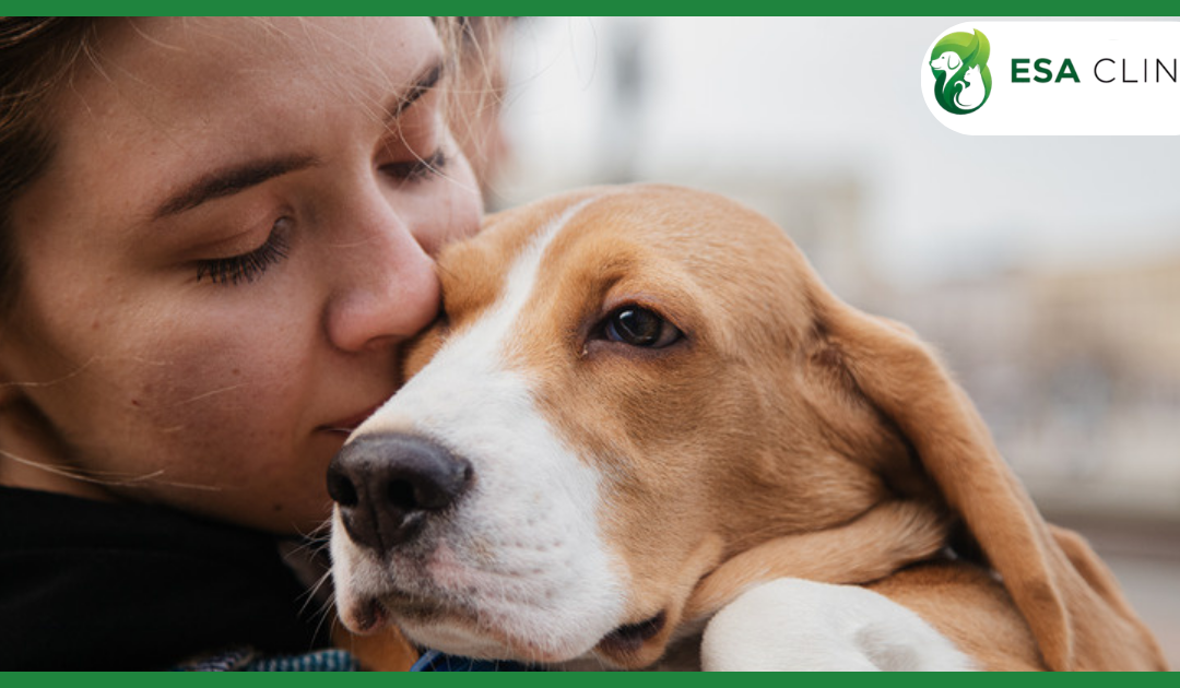 Kentucky Service Dog Laws: What Handlers Need to Know