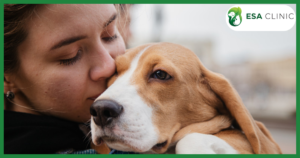 Kentucky Service Dog Laws: What Handlers Need to Know