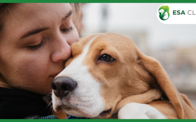 Kentucky Service Dog Laws: What Handlers Need to Know