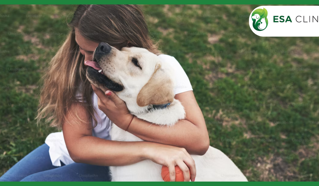 National Service Animal Registration: Does It Actually Exist?