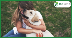 National Service Animal Registration: Does It Actually Exist?
