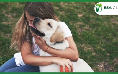 National Service Animal Registration: Does It Actually Exist?