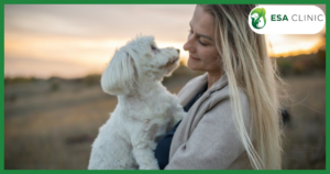 New York Service Dog Laws: What Handlers Need to Know