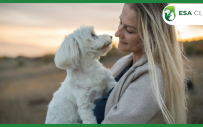 New York Service Dog Laws: What Handlers Need to Know