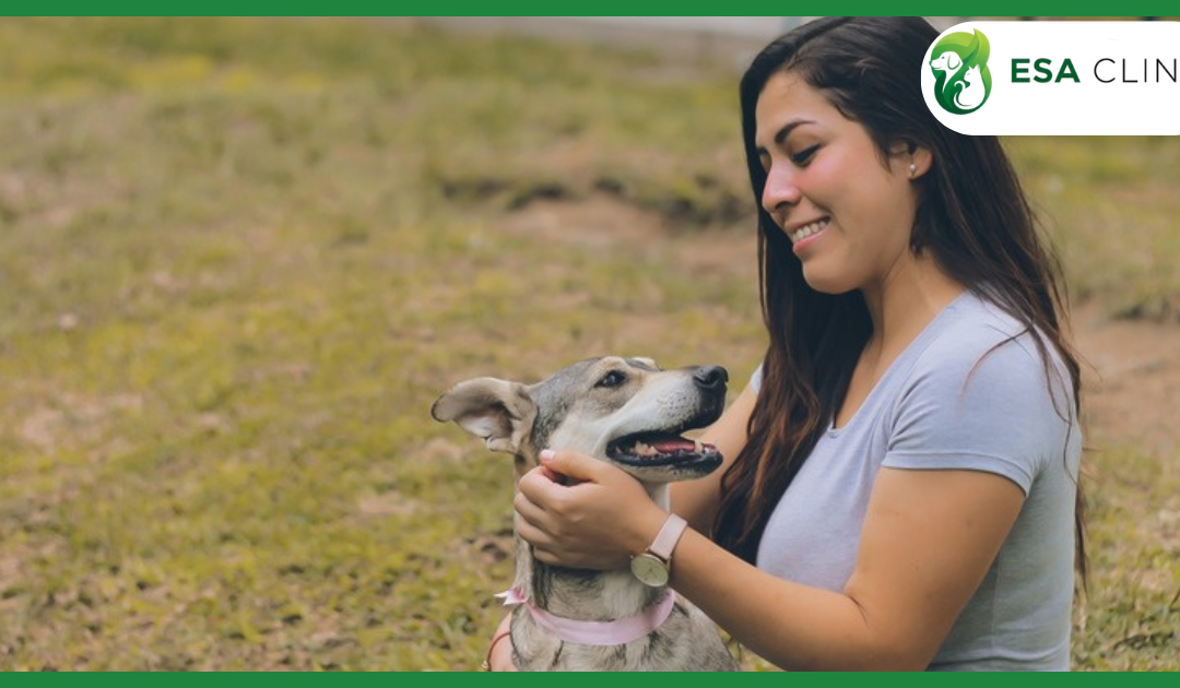 Tennessee Service Dog Laws: What Handlers Need to Know